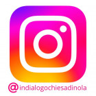 Ig inDialogo